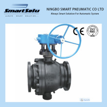 Ss High Pressure Black Color Trunnion Mounted Ball Valve